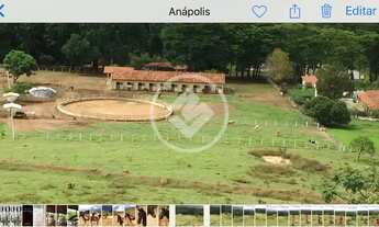 Imagem: HARAS EM ANAPOLIS codigo 123968
