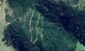 Imagem 7: Lindo Sítio em Amparo, SP, com lago e plantação de eucalipto