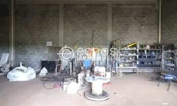 Imagem 3: Imóvel Comercial para aluguel, Segismundo Pereira - Uberlândia/MG