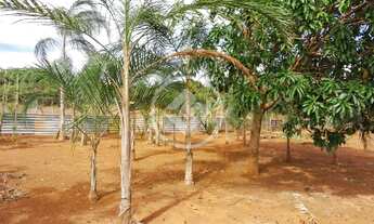 Imagem 3: Chácara com 3.512 m² Localização Privilegiada Próximo ao DAIA codigo: 158118