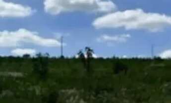 Imagem 4: Terreno que possui 1000 metros quadrados em Capanema - Araçoiaba da Serra - SP