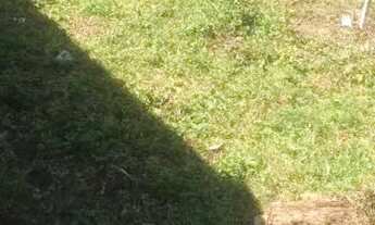 Imagem 4: Terreno na taicoca de dentro