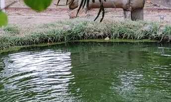 Imagem 2: Sítio de aluguel exclusivo para eventos evangélicos