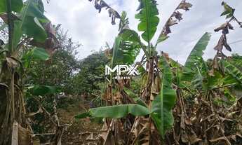 Imagem 6: Terreno à venda em Piracicaba, Vila Nossa Senhora Aparecida, com 250 m²