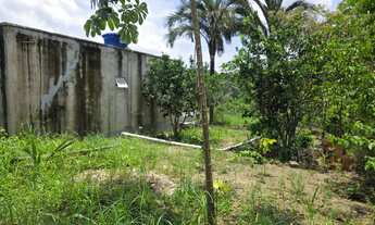 Imagem 5: Terreno Iranduba Sítio