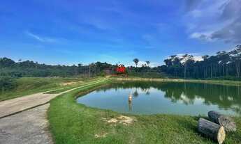 Imagem 4: Fazenda com 128 Hectares disponível pra Venda na Br 174 KM 75