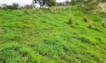 Imagem 3: Fazenda com Água Abundante em Cocalzinho-GO | 30 Alq