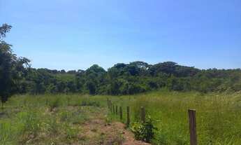 Imagem 7: Chácara de 2,9 hectares toda no cerradão bruto sem benfeitorias, toda cercada