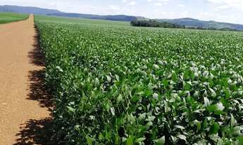 Imagem 2: Fazenda de 350 alqueires, (840 hectares), na regiao do Município de Ipameri Goia