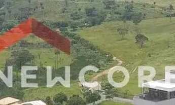 Imagem: Lote em Rua dos Ipês - Novo Horizonte