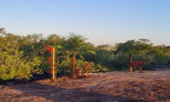 Imagem 6: Marina Chácara com venda por R$480.000