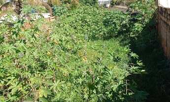 Imagem 2: Terreno à venda no bairro Carajás medindo 320m²