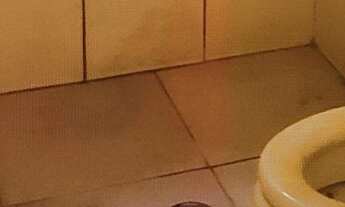 Imagem 7: Aluga se3 comados