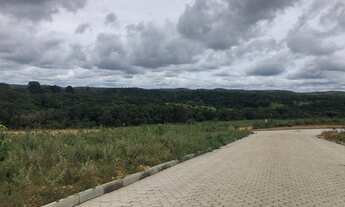 Imagem 3: Lotes 1000m2 especial 100% planos Você vai se apaixonar