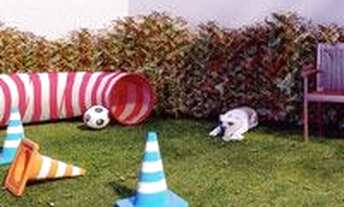 Imagem 3: Apartamento Apartamento com 2 dormitórios