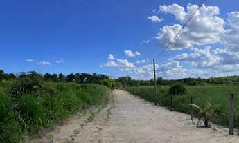 Imagem 2: Vendo terreno Chácara com venda por R$130.000