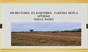 Imagem 2: Fazenda dupla aptidão Gurupi - TO