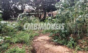 Imagem: Terreno - Jardim do Vale - Campinas