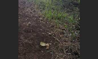 Imagem 6: Está a venda terrenos com acesso a represa!!!