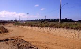 Imagem 5: Lindo lote sentido pontal de Ipiranga