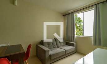 Imagem 7: Apartamento para Aluguel - Jacarepaguá, 2 Quartos, 49 m2