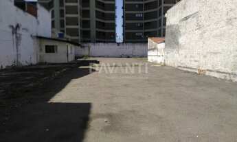 Imagem 3: área - Bosque - Campinas