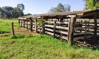 Imagem 5: 33 hectares. Boa de Agua. Terenos MS