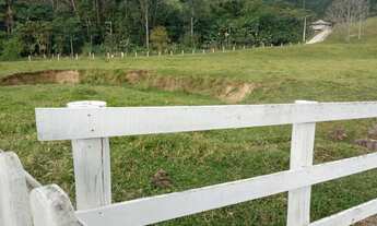 Imagem 4: Torrando fazendinha 40 hectares Sto Amaro