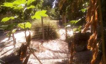 Imagem 5: Casa POUSADA residencial para Venda e locação Parajuru, Beberibe,10 suítes, 5 salas, 10 ba