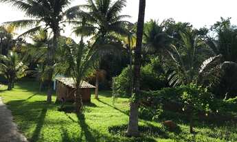 Imagem 3: Chácara Atrás do Jardins Madri Goiânia