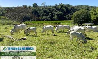 Imagem 6: Fazenda de 30 hectares em Esmeraldas com ampla área de pastagem, rica em água