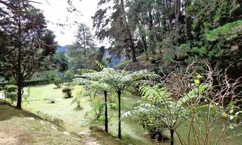 Imagem 7: Casa em estilo alemão integrada ao verde