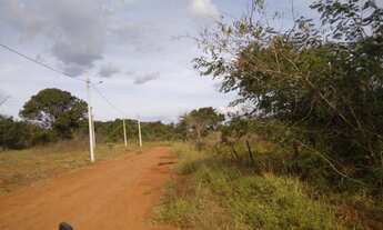 Imagem 5: Chácaras em Brazabrantes-GO