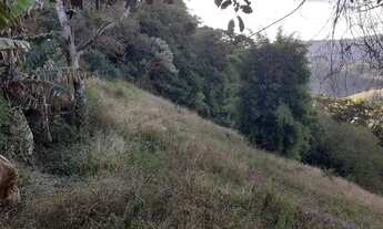 Imagem 3: Maravilhosa Chácara com 29.800m2 na serra da Mantiqueira em Delfim Moreira/MG