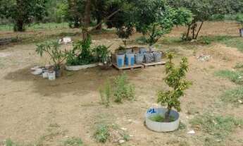 Imagem 6: Chácara na ponte alta próximo ao Embrapa