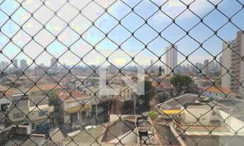 Imagem 7: Apartamento para Aluguel - Mooca, 3 Quartos, 72 m2