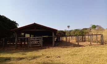 Imagem 2: Fazenda de 65 alqueires em Córrego do ouro-Go