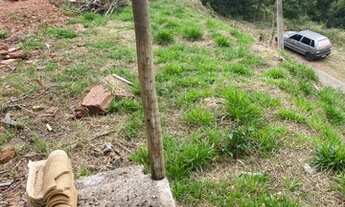 Imagem 6: Lote Campo do Pires