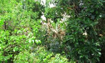 Imagem 2: Lote 360 m2 Ouro Minas R$ 350.000,00