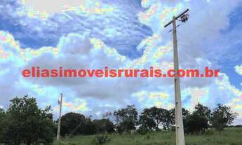 Imagem 4: Sítio meio alqueire - com energia instalada e poço artesiano