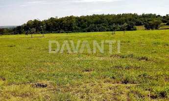 Imagem: Terreno - Tanquinho - Monte Alegre do Sul