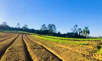 Imagem 5: Compre seu lote sem burocracia a partir de R$16.500,00 de entrada Terreno a venda aceita e