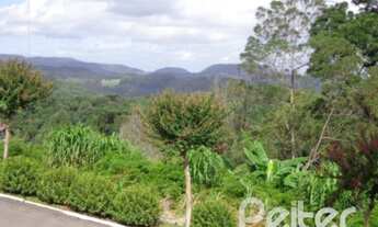 Imagem 4: NOVA PETRóPOLIS - Terreno Padrão - Centro