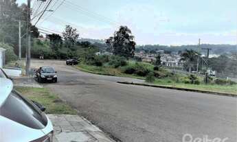 Imagem 4: PORTO ALEGRE - Terreno Padrão - Ipanema