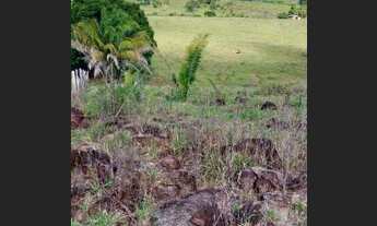 Imagem 6: 25.5 Alqueires Escriturado 32 Km da Cidade de Ariquemes