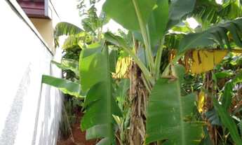 Imagem 4: Terreno - Jardim São Pedro - Campinas