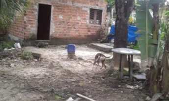 Imagem 3: Venda de casa Casa com 2 dormitórios