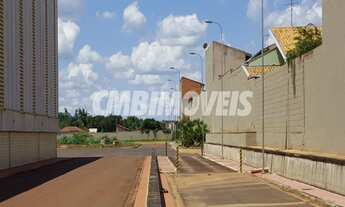 Imagem 5: Galpão - Betel - Paulínia