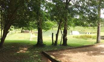 Imagem 7: Chácara de 2.32 alqueires em Nazario- Go