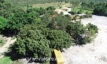 Imagem 4: Fazenda - Cuiabá - BR 070 - 1.634 hectares c/ 1.300 m de frente p/ o asfalto !